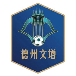 德州队